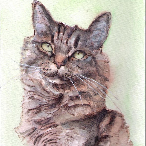 Portrait painting of a cat in watercolor and pen