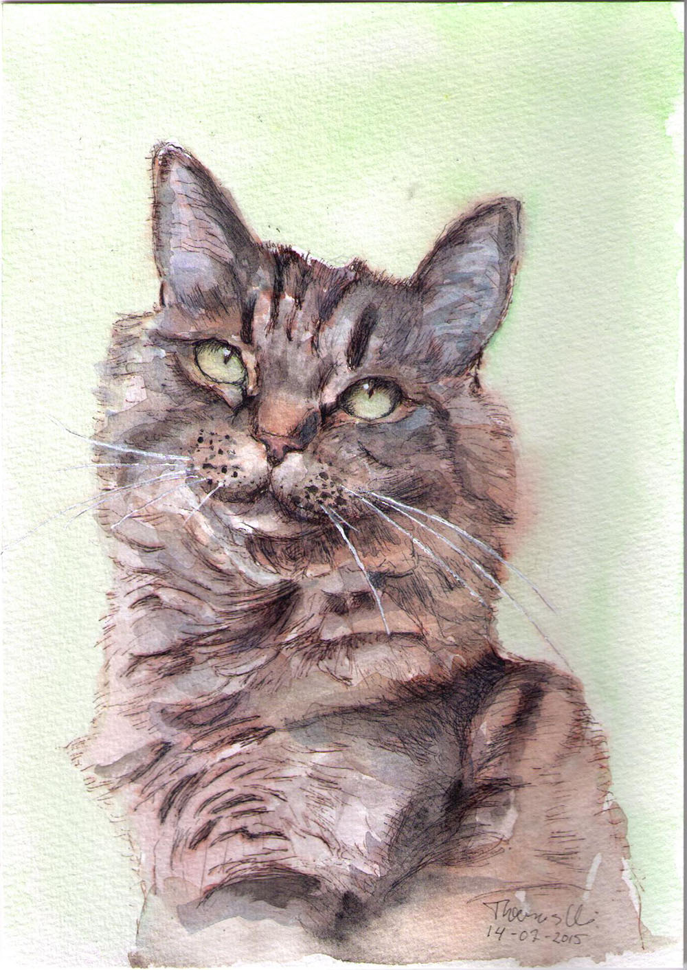 Portrait painting of a cat in watercolor and pen