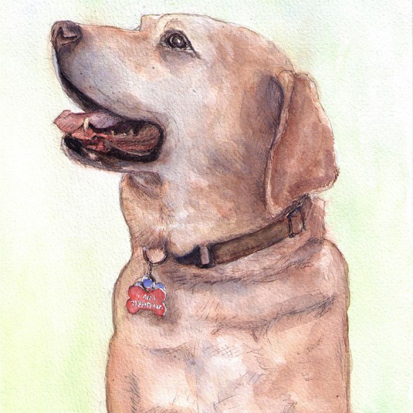 Commissioned dog portrait in watercolor and ballpoint pen