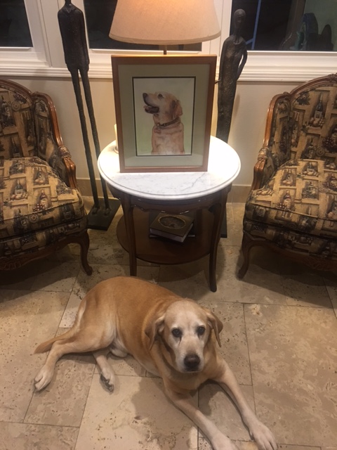 liberty-dog-framed-portrait-commission-livingroom