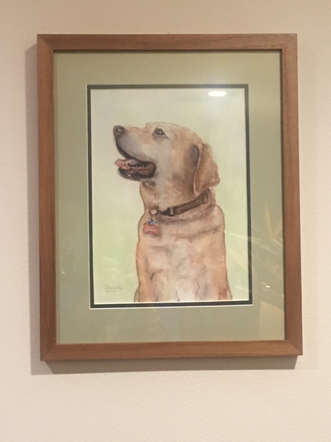 liberty-dog-framed-portrait-commission