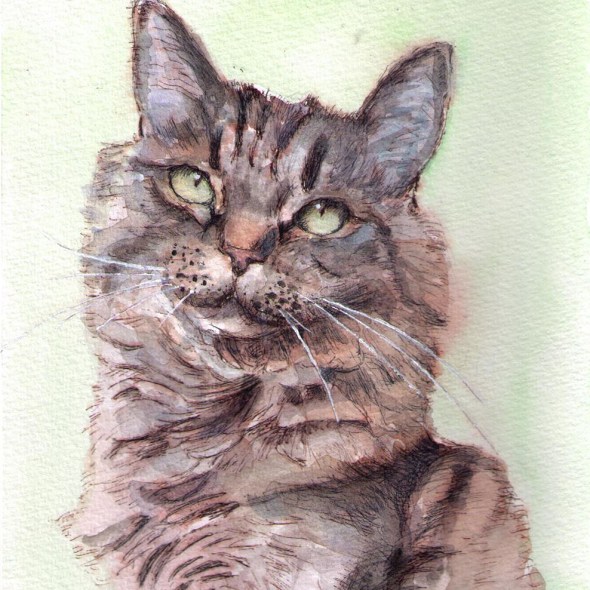 Drawing of a cat called Benji in ballpoint pen and watercolor