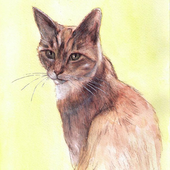 Commissioned cat portrait painting in watercolor and pen