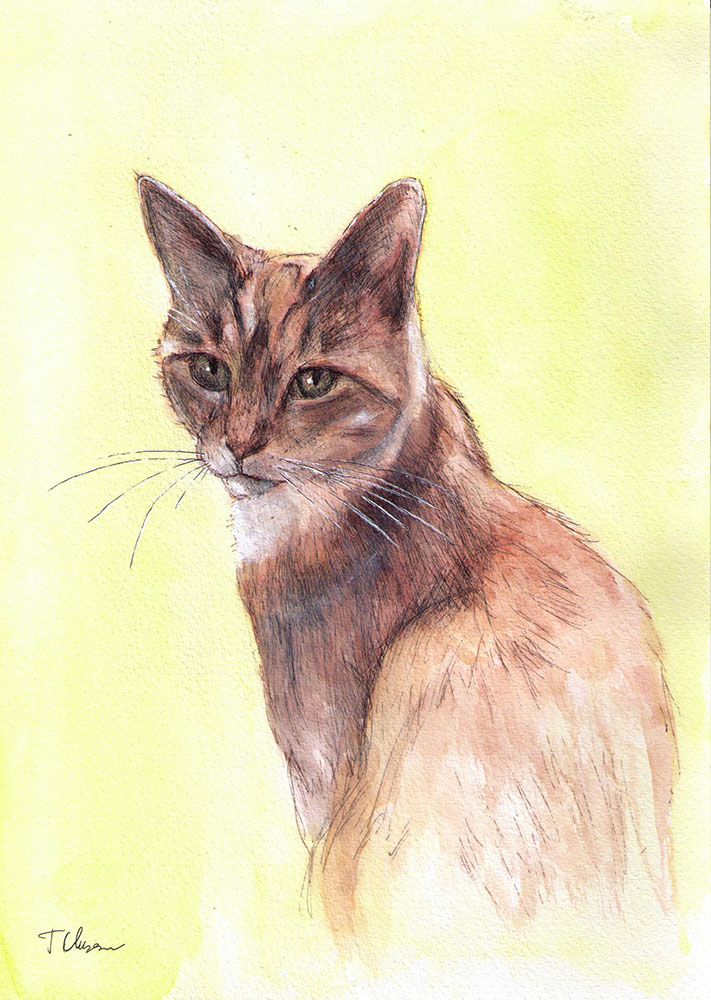 Commissioned cat portrait painting in watercolor and pen