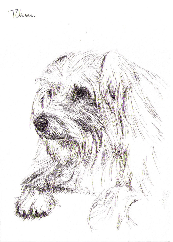 Commissioned dog portrait drawing in pen