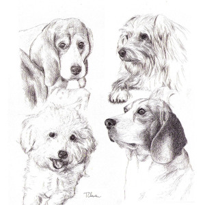 Commissioned portrait drawing of four dogs in pen