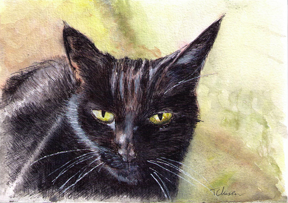 Commissioned cat portrait painting in watercolor and pen