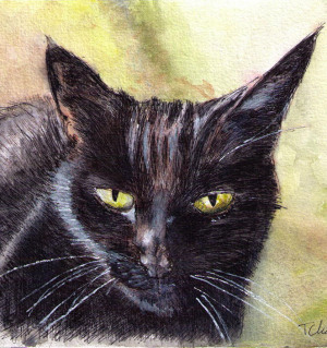 Commissioned cat portrait painting in watercolor and pen