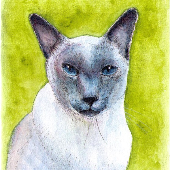 Commissioned cat portrait drawing in pen