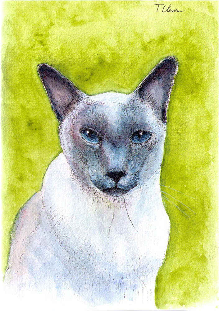 Commissioned cat portrait drawing in pen