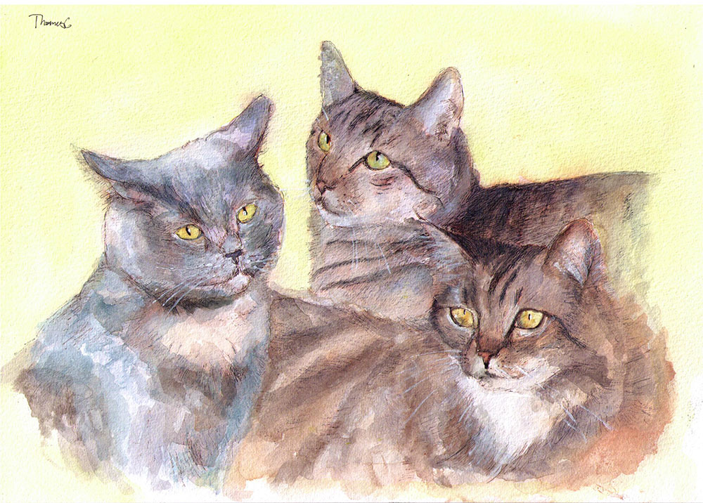 Commissioned cat group portrait painting in watercolor and pen
