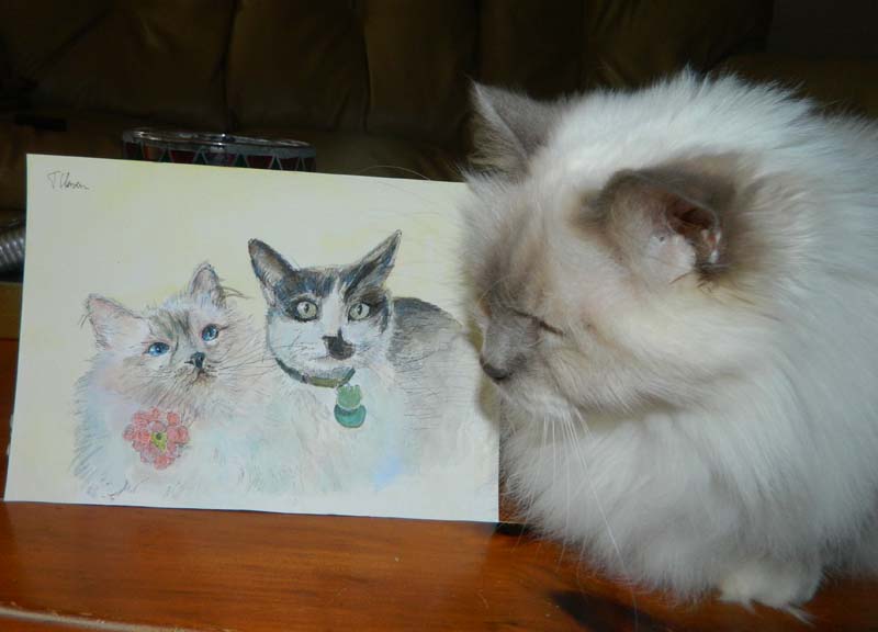 Allie the cat with her portrait