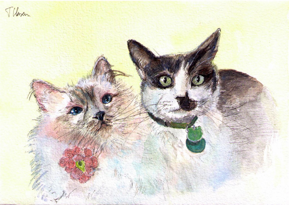 Portrait of two cats called Mauricio and Allie in pen and watercolor