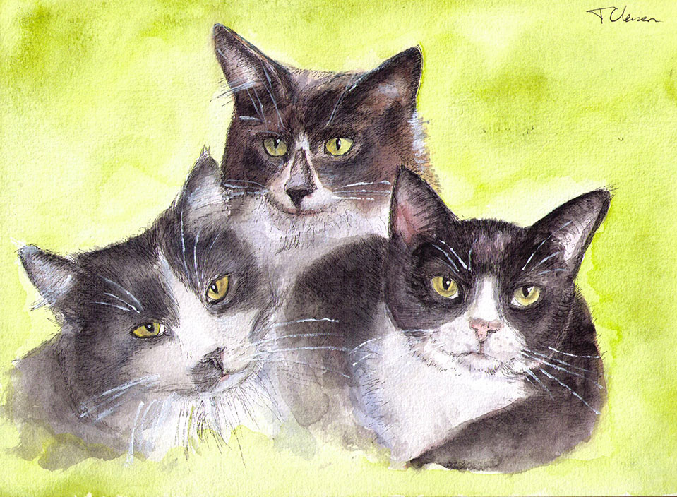 custom group portrait of three cats in pen and watercolor