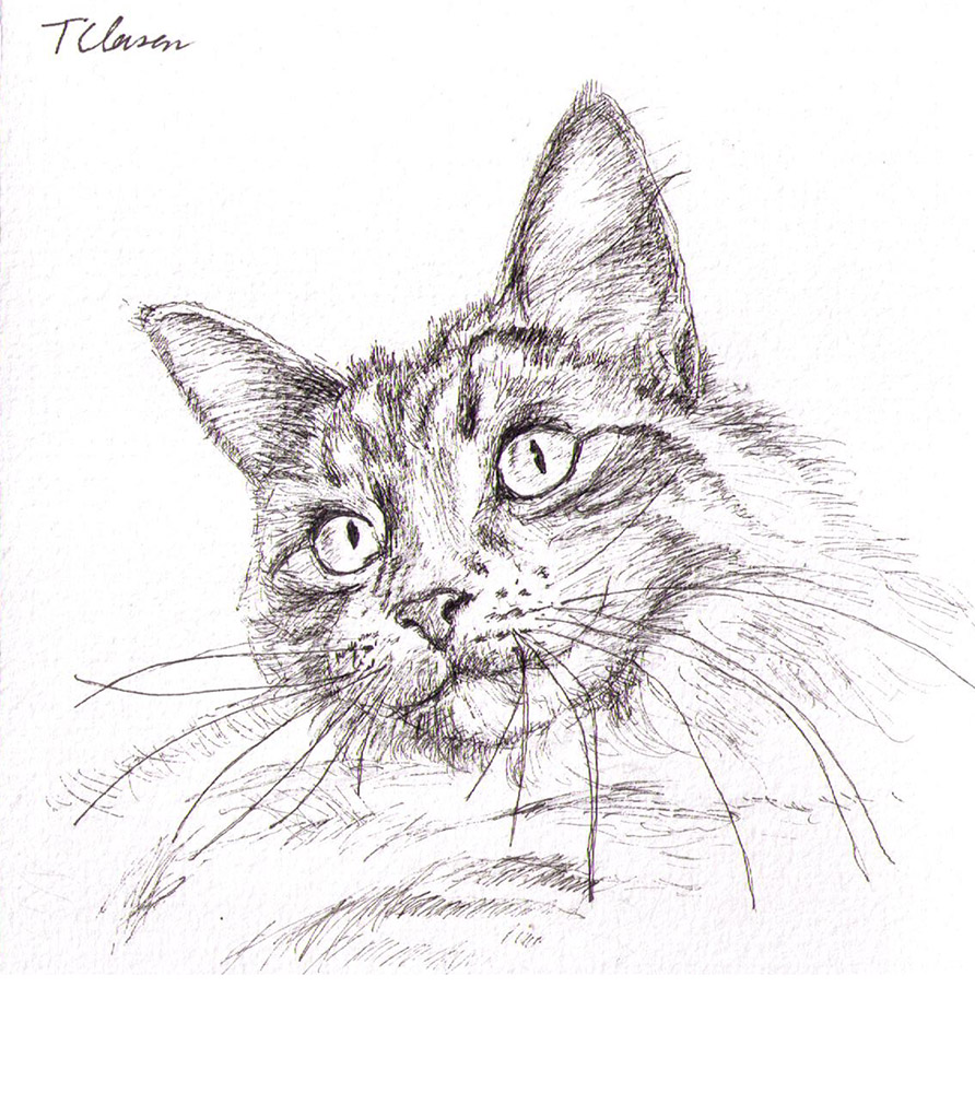 cat-portrait-drawing-pen-mia-furkid-thomas-clausen